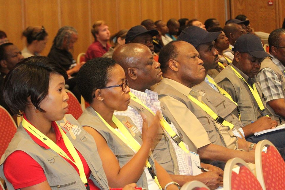 Election Observers